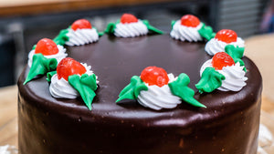 Swiss Chocolate Torte