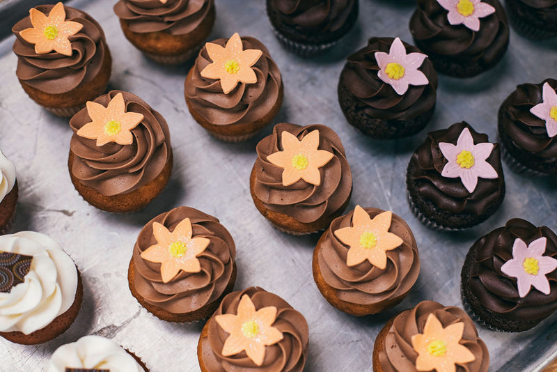Gourmet Cupcakes
